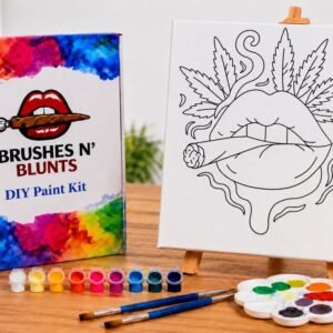 The High Art DIY Paint Kit